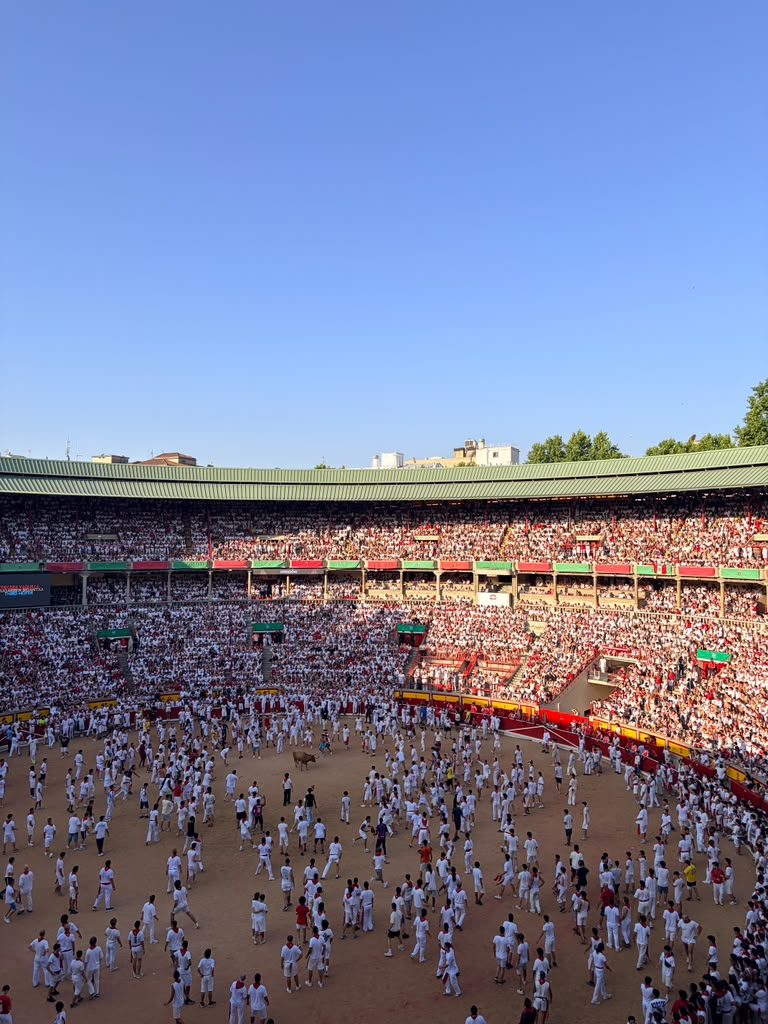 The Plaza de Toros, Pamplona