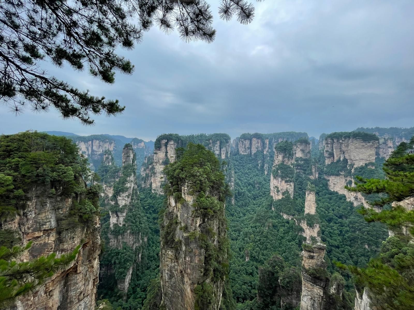 The pillar forest of Zhangjiajie in cloud